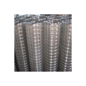 Hot Dipped Coated Electro Galvanized Welded Wire Mesh